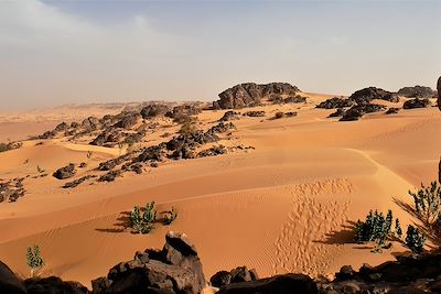 © Vincent Sacramento - Chaîne de Zarga - Mauritanie Chaîne de Zarga - Mauritanie