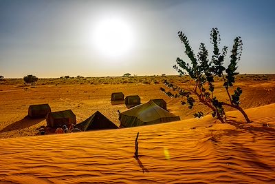© Stéphane Irion - Bivouac - Désert de Mauritanie Bivouac - Désert de Mauritanie