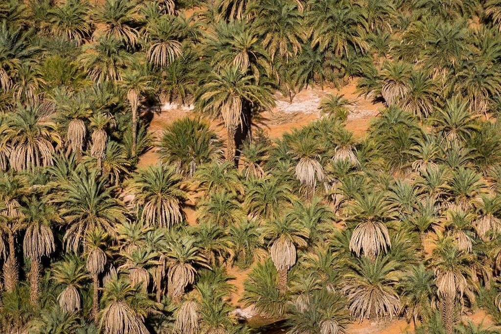Image Voyage Mauritanie - Trek désert - Adrar - Chinguetti - Maaden
