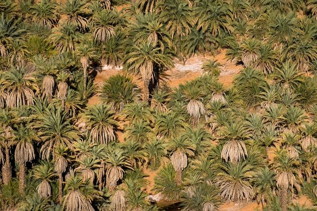 Voyage : Charme des villes anciennes et magie des dunes Voyage Charme des villes anciennes et magie des dunes
