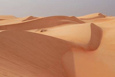 Erg Ouarane - Mauritanie