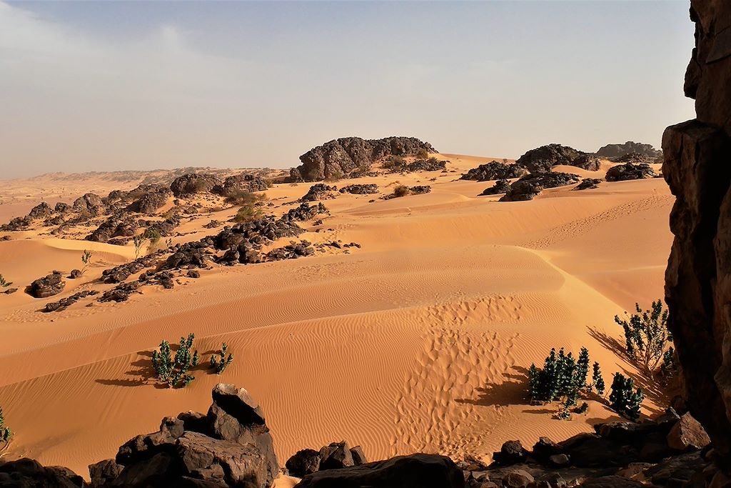 Image Voyage Mauritanie - Trek Désert - Sahara Mauritanien - Chinguetti