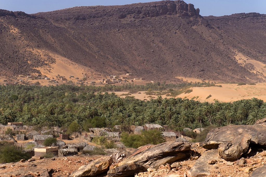 Image Des crocodiles du Tagant aux dunes de l'Adrar