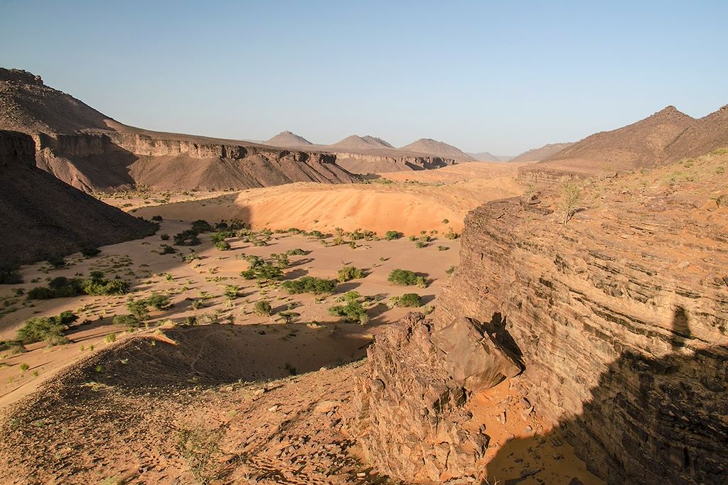 Image Des crocodiles du Tagant aux dunes de l'Adrar