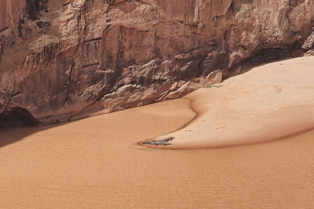 Image Des crocodiles du Tagant aux dunes de l'Adrar