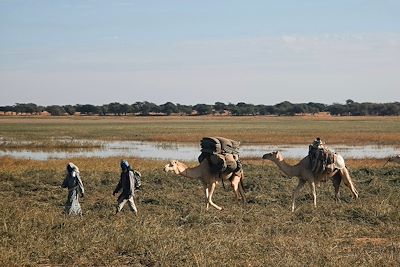 Lac Gabbou - Tagant - Mauritanie