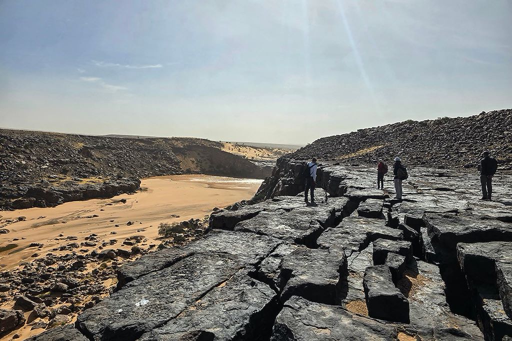 Image Des crocodiles du Tagant aux dunes de l'Adrar