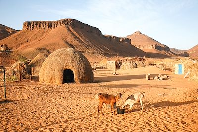 Massif de l'Adrar - Mauritanie