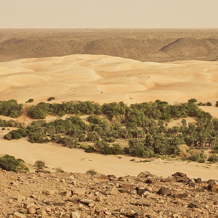 Randonnée avec chameau Mauritanie