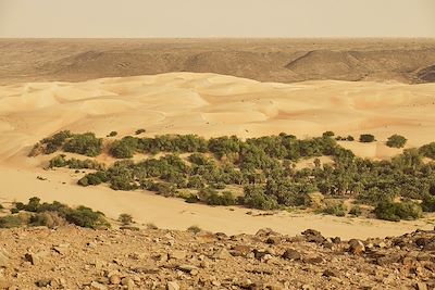La grande traversée de l'Adrar au Tagant