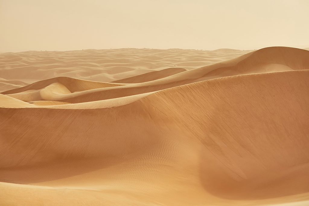Image La grande traversée de l'Adrar au Tagant