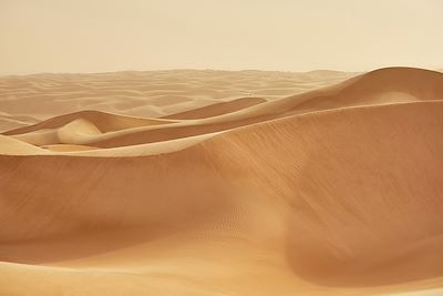 Désert, vallée de l'Atar