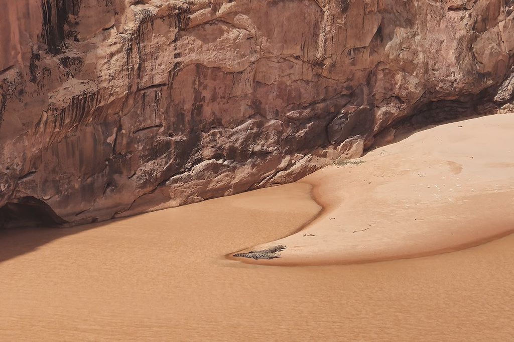 Image La grande traversée de l'Adrar au Tagant