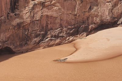 Crocodiles du Tagant - Canyon Matmata - Mauritanie