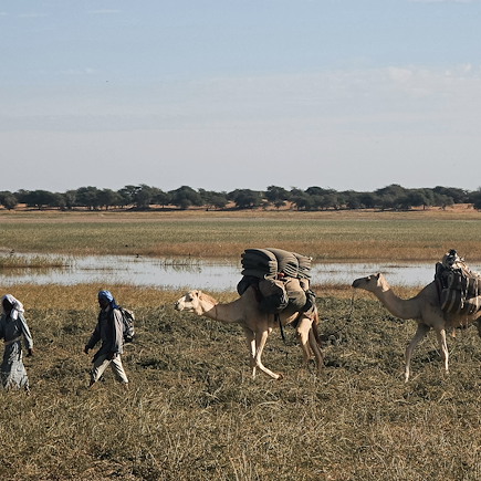 Randonnée avec chameau Mauritanie