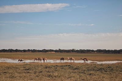 Lac Gabbou - Tagant - Mauritanie