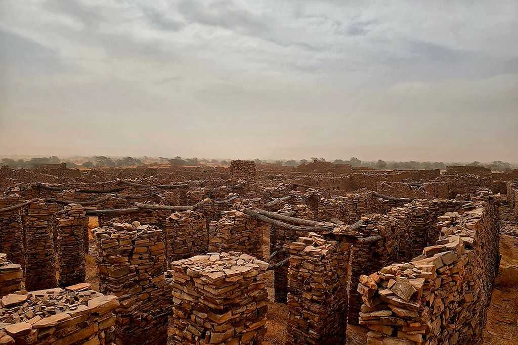 Image La grande traversée de l'Adrar au Tagant