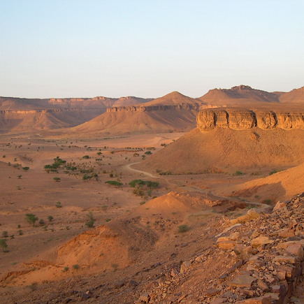 Randonnée avec chameau Mauritanie