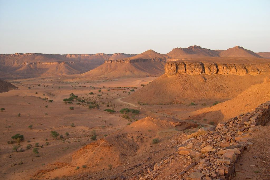 Image Voyage Mauritanie - Randonnée Chameliere - Trek desert - Chinguetti