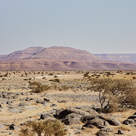 Randonnée avec chameau Mauritanie
