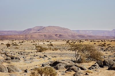 champs de stromalithes sur la route entre Atar et Chinguetti