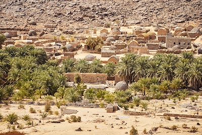 La palmeraire de Maireth