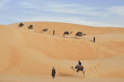 Arrivée des chameliers au bivoac de R'Mar