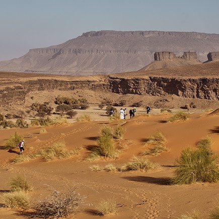 Randonnée avec chameau Mauritanie