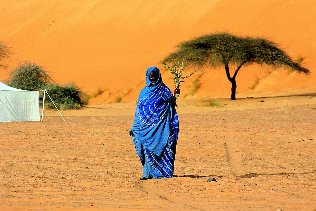 Image Voyage Mauritanie - Trek Mauritanie - Amatlich