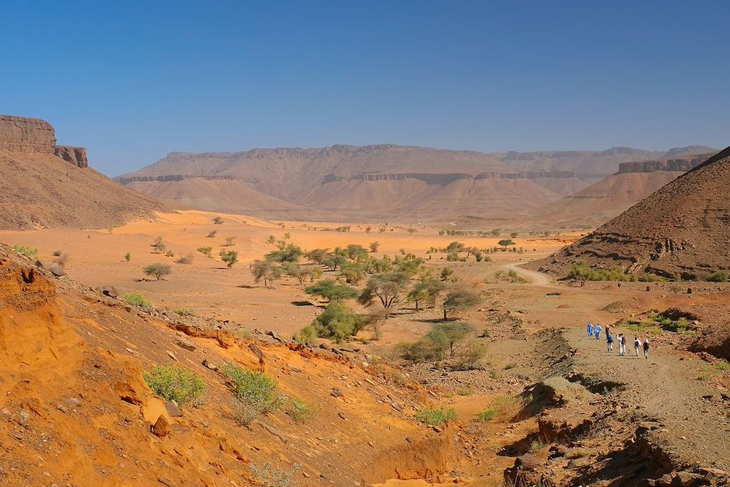 Image Voyage Mauritanie - Trek Mauritanie - Amatlich