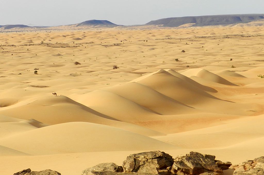 Image Voyage Mauritanie - Trek Mauritanie - Amatlich