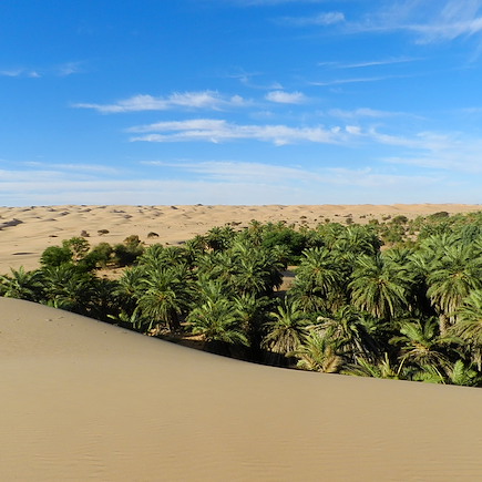 Randonnée avec chameau Mauritanie