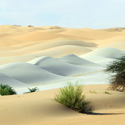 Randonnée avec chameau Mauritanie