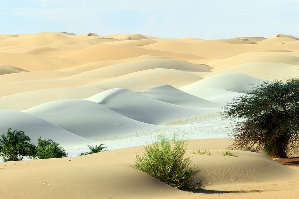 Image Voyage Mauritanie - Trek Mauritanie - Amatlich