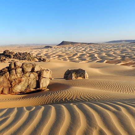 Randonnée avec chameau Mauritanie