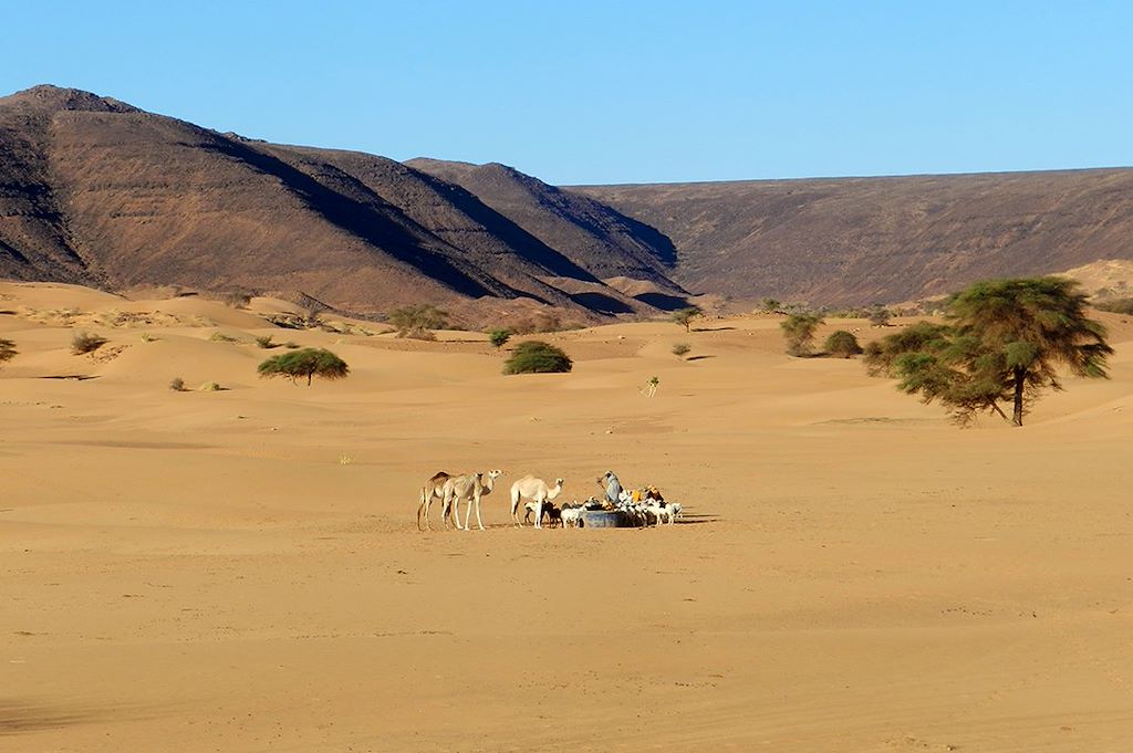 Image Voyage Mauritanie - Trek Mauritanie - Amatlich