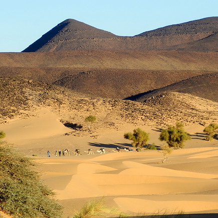 Randonnée avec chameau Mauritanie