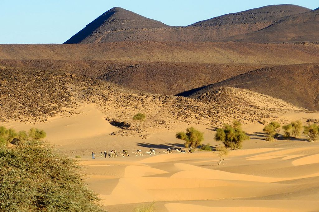 Image Voyage Mauritanie - Trek Mauritanie - Amatlich