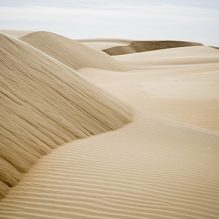 Randonnée avec chameau Mauritanie