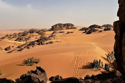 Chaîne de Zarga - Mauritanie
