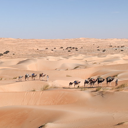 Randonnée avec chameau Mauritanie
