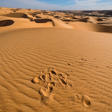Randonnée avec chameau Mauritanie