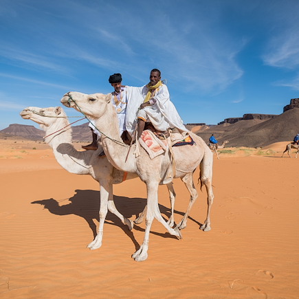 Randonnée avec chameau Mauritanie