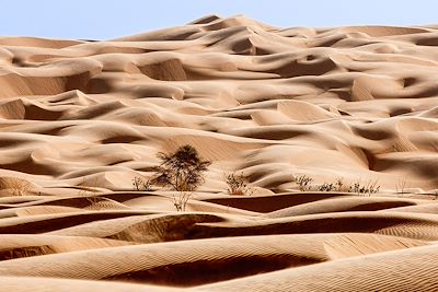 Région de l'Adrar en Mauritanie