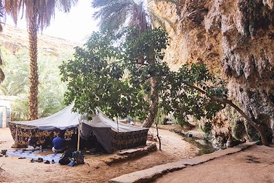Oasis de Terjit, Mauritanie 