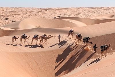 Caravane chamelière proche de Lagueila - Mauritanie