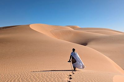 Dunes de Chingetti - Mauritanie