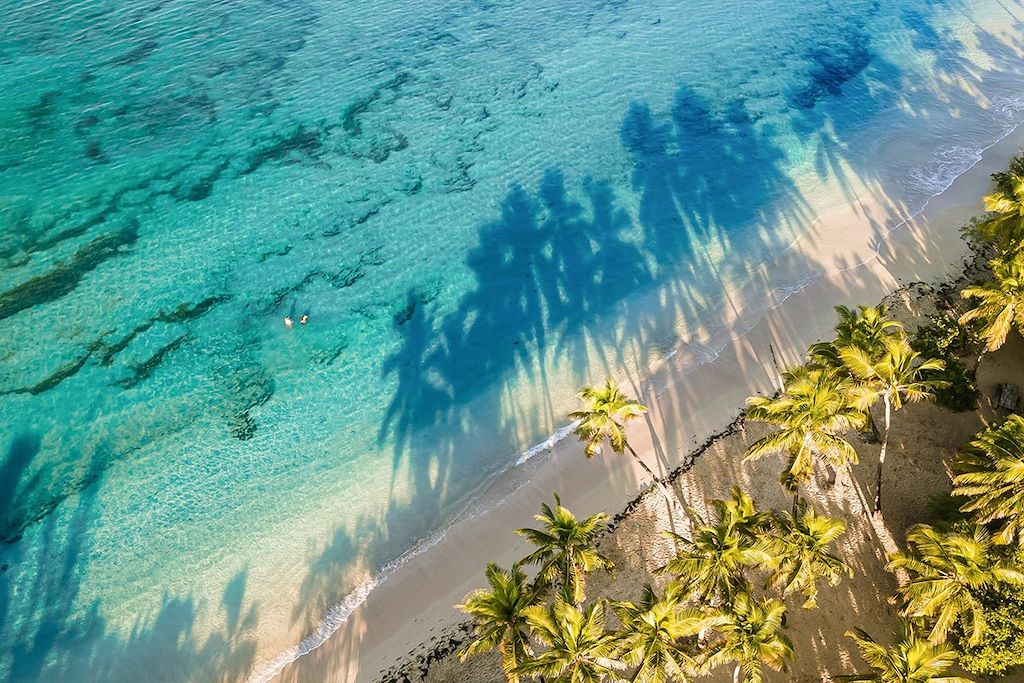Voyage Cocktail aventure aux saveurs créoles