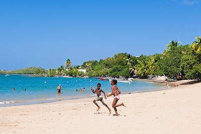 © GUIZIOU Franck / hemis.fr - Caravelle - Martinique Caravelle - Martinique