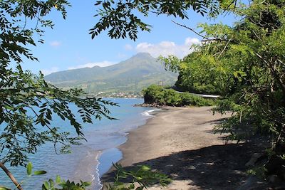 La Martinique couleur nature